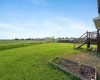 Field Views