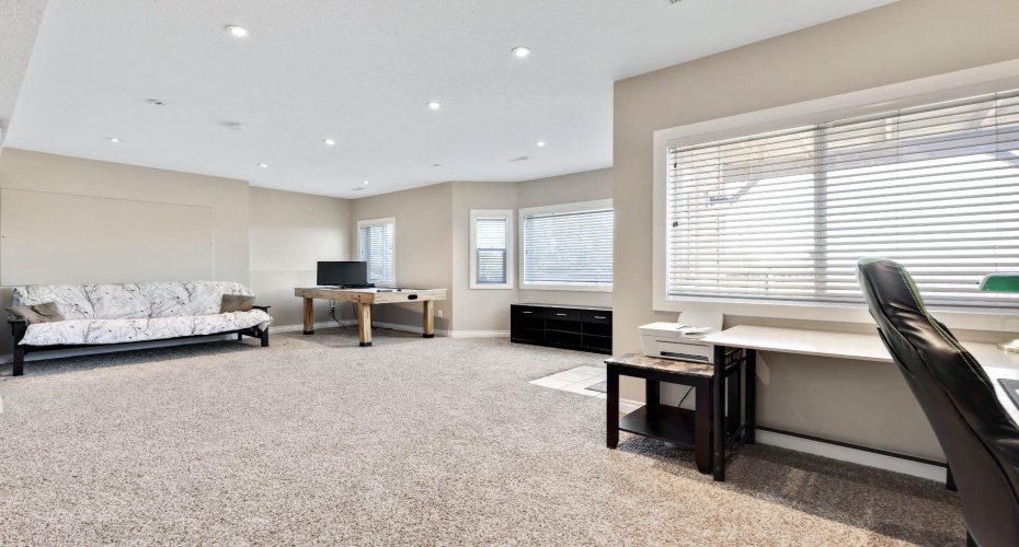 Family room basement