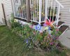 front flower bed last year