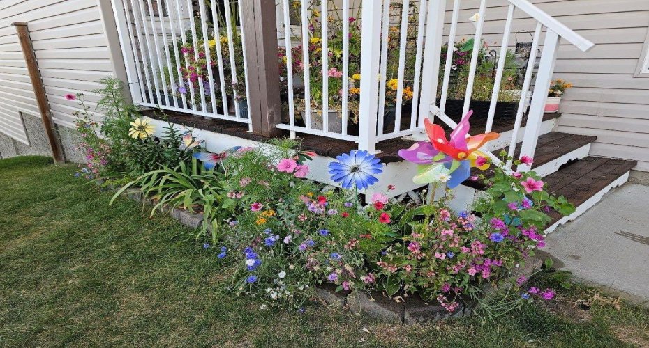 front flower bed last year