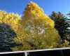 240 Varsity Estates Terrace, Calgary, Alberta T3B 5J4, 4 Bedroom Bedrooms, 0 ,3 BathroomBathrooms,Residential,For Sale,Varsity Estates,0,A2328479