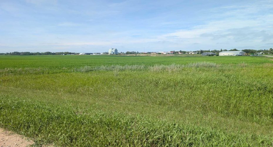 . 23-4 Range, Trochu, Alberta T0M2C0, 0 , 0 ,0,Land,For Sale,23-4,0,A2328514