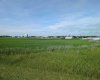 . 23-4 Range, Trochu, Alberta T0M2C0, 0 , 0 ,0,Land,For Sale,23-4,0,A2328514
