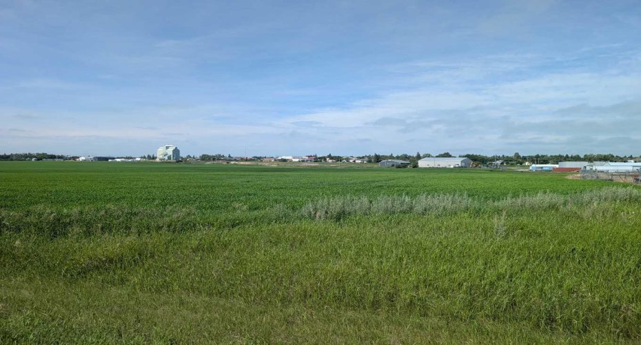 . 23-4 Range, Trochu, Alberta T0M2C0, 0 , 0 ,0,Land,For Sale,23-4,0,A2328514