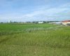 . 23-4 Range, Trochu, Alberta T0M2C0, 0 , 0 ,0,Land,For Sale,23-4,0,A2328514