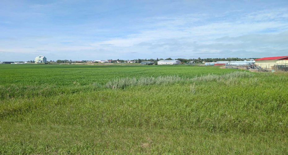 . 23-4 Range, Trochu, Alberta T0M2C0, 0 , 0 ,0,Land,For Sale,23-4,0,A2328514