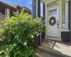Covered front entryway with modern door and lush greenery
