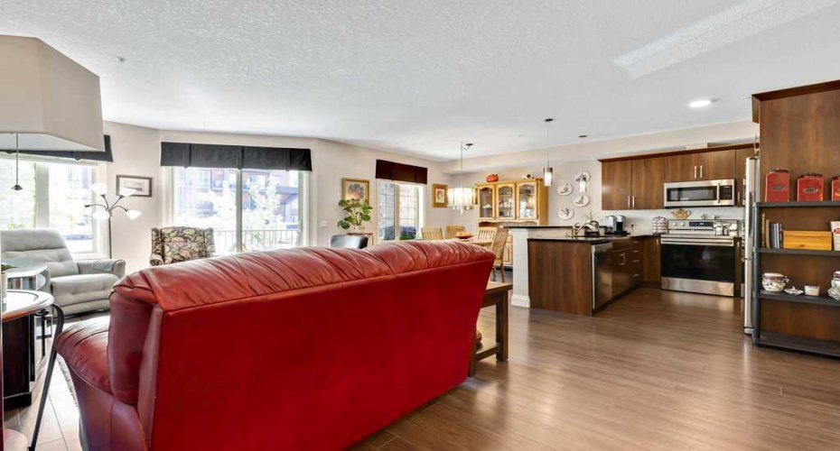 Living room/kitchen