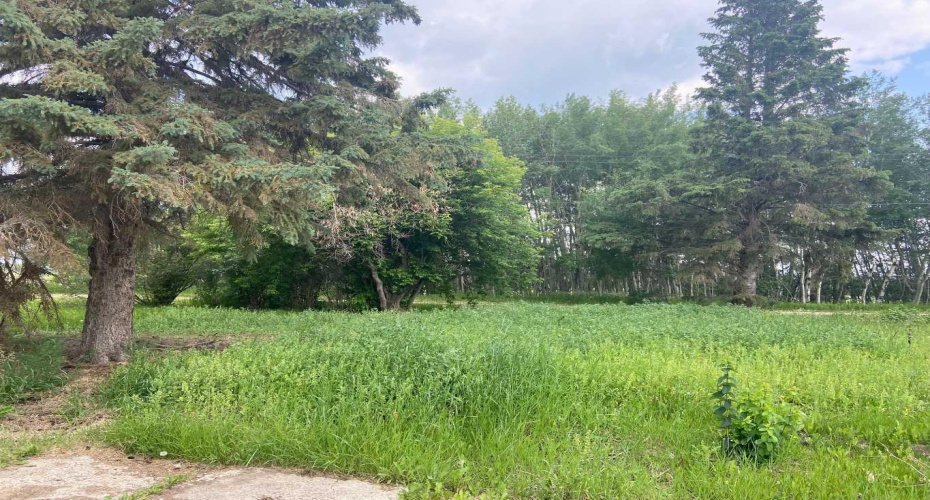 4th AVENUE NE, McLennan, Alberta T0H 2L0, ,Land,For Sale,NE,A2057589