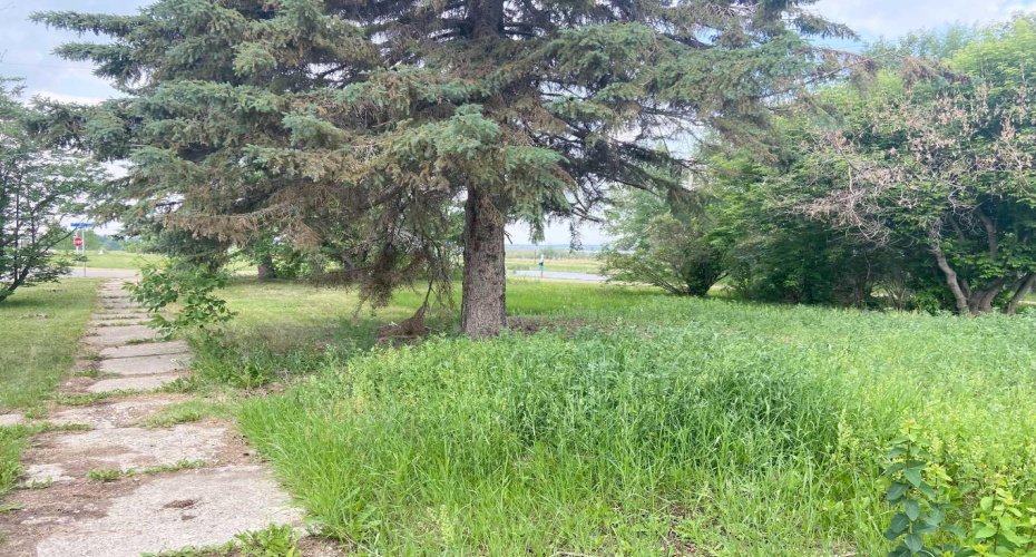 4th AVENUE NE, McLennan, Alberta T0H 2L0, ,Land,For Sale,NE,A2057589