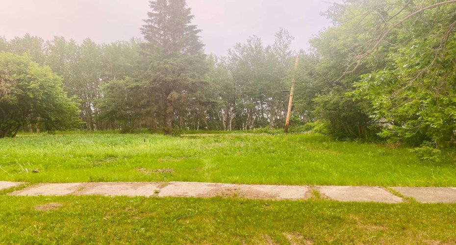 4th AVENUE NE, McLennan, Alberta T0H 2L0, ,Land,For Sale,NE,A2057589