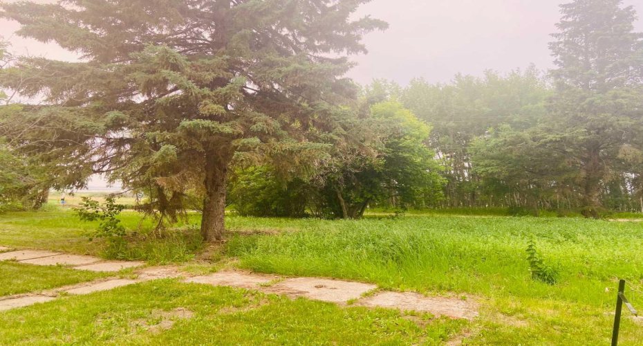 4th AVENUE NE, McLennan, Alberta T0H 2L0, ,Land,For Sale,NE,A2057589