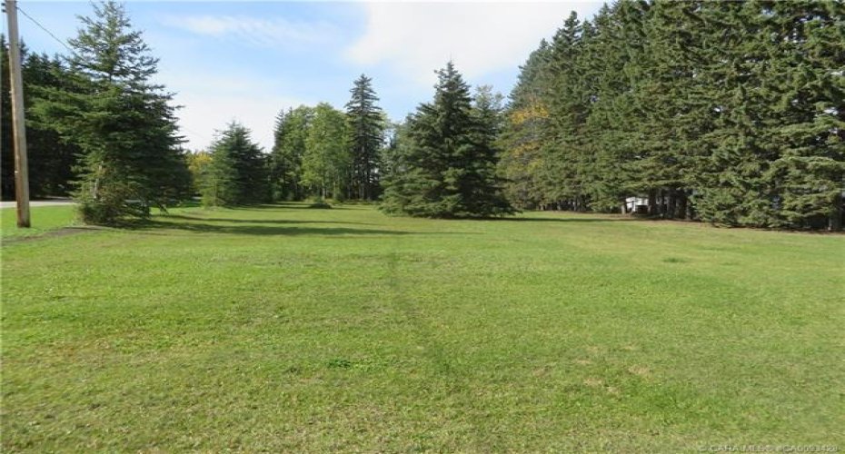 6312 47 Avenue, Rocky Mountain House, Alberta T4T 1G3, ,Land,For Sale,47,A2117827