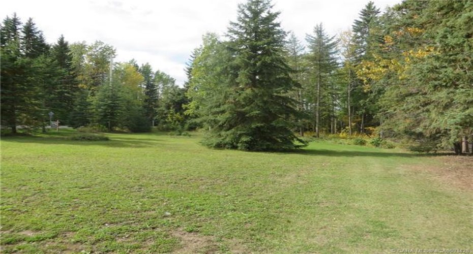 6312 47 Avenue, Rocky Mountain House, Alberta T4T 1G3, ,Land,For Sale,47,A2117827