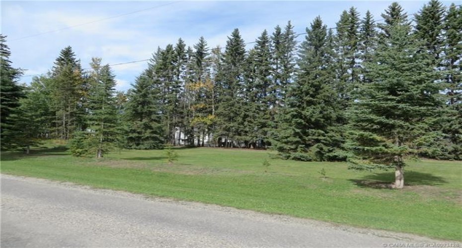 6312 47 Avenue, Rocky Mountain House, Alberta T4T 1G3, ,Land,For Sale,47,A2117827