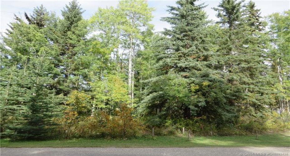 6312 47 Avenue, Rocky Mountain House, Alberta T4T 1G3, ,Land,For Sale,47,A2117827