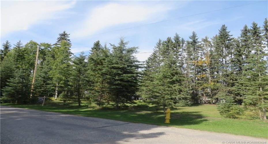 6312 47 Avenue, Rocky Mountain House, Alberta T4T 1G3, ,Land,For Sale,47,A2117827