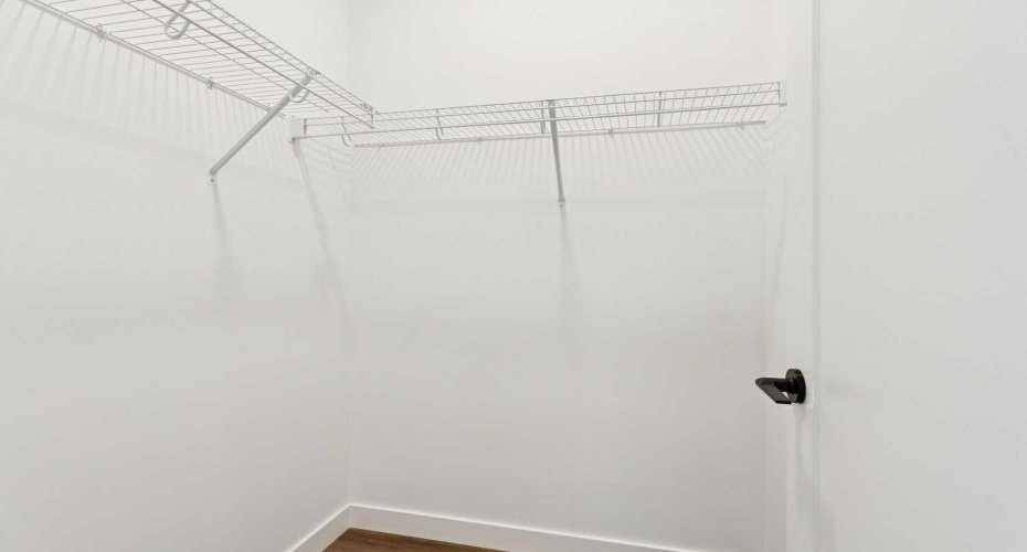 Main Floor Front Entry Walk-in Closet