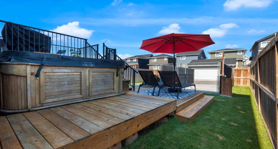 Back yard