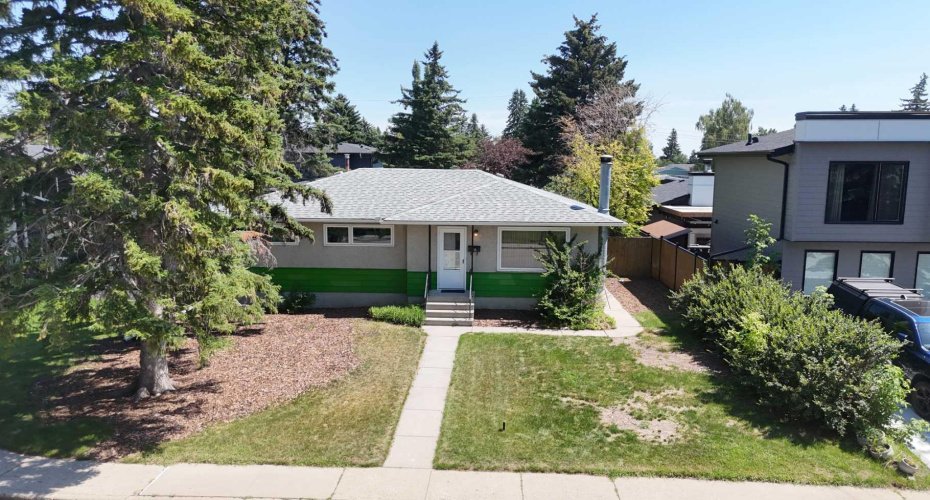 Lots of renovated homes on the block