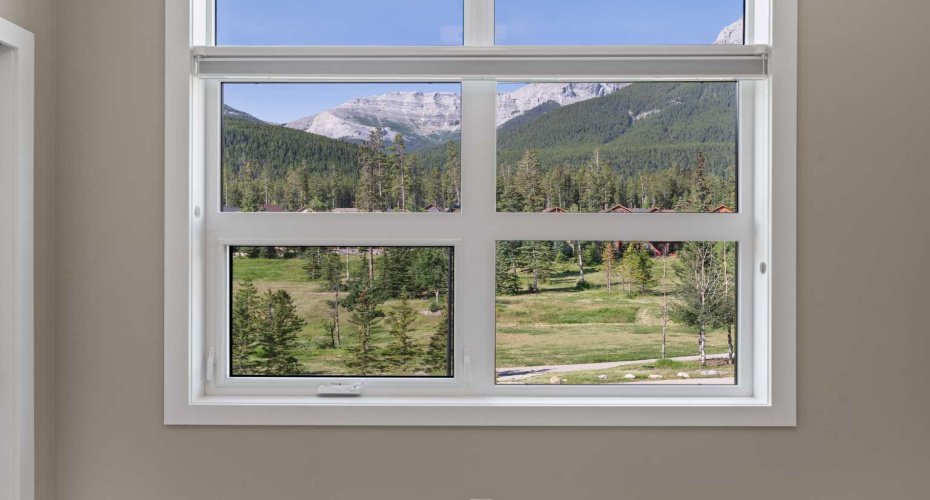 Views from every window