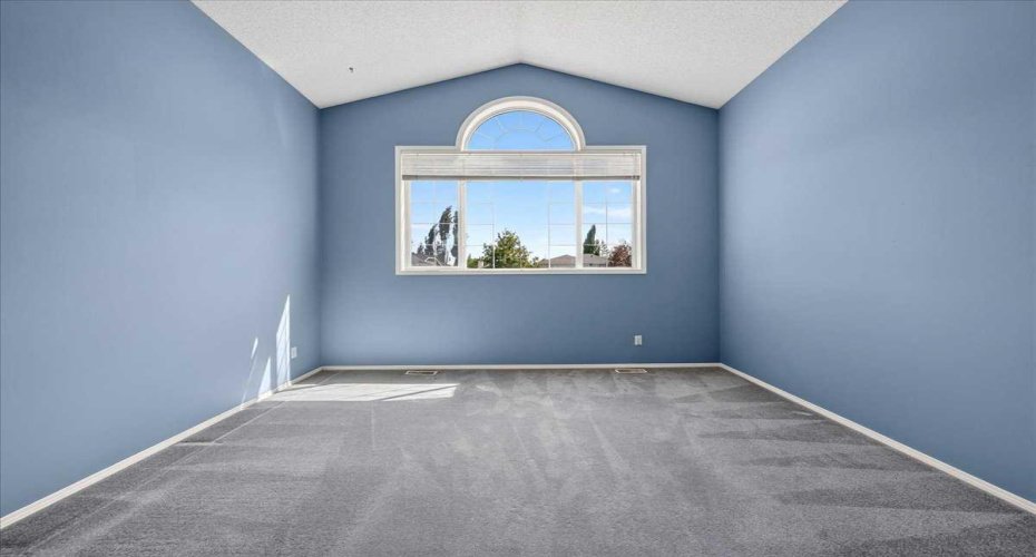 Bonus room with vaulted veiling