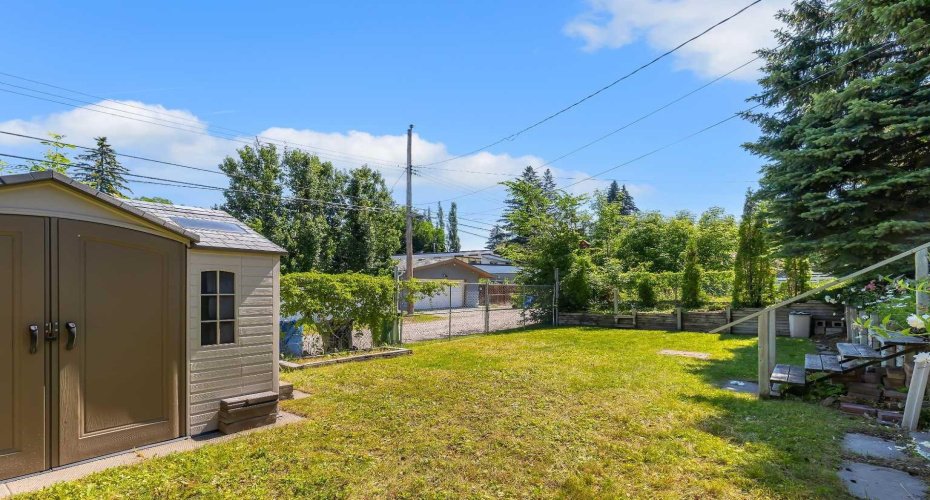 flat backyard