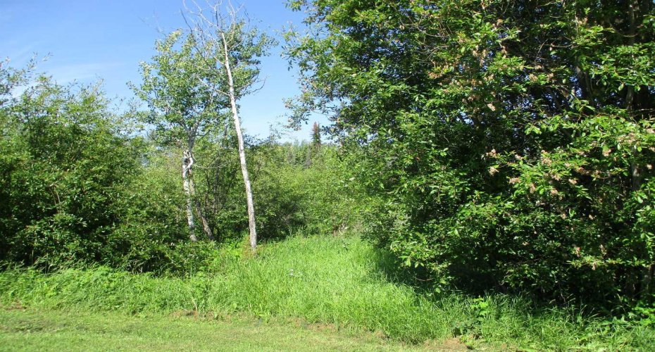 911052 234 Road, Rural Northern Lights, County of, Alberta T0H 2M0, ,Agri-business,For Sale,234,A2329176