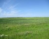 911052 234 Road, Rural Northern Lights, County of, Alberta T0H 2M0, ,Agri-business,For Sale,234,A2329176