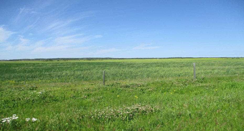 911052 234 Road, Rural Northern Lights, County of, Alberta T0H 2M0, ,Agri-business,For Sale,234,A2329176