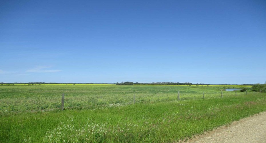 911052 234 Road, Rural Northern Lights, County of, Alberta T0H 2M0, ,Agri-business,For Sale,234,A2329176