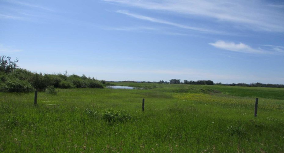 911052 234 Road, Rural Northern Lights, County of, Alberta T0H 2M0, ,Agri-business,For Sale,234,A2329176