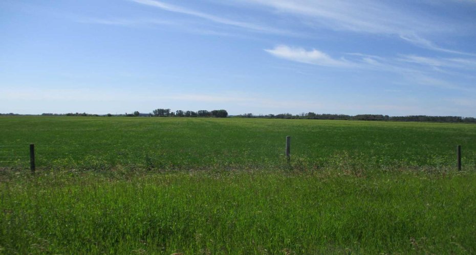 911052 234 Road, Rural Northern Lights, County of, Alberta T0H 2M0, ,Agri-business,For Sale,234,A2329176