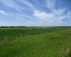 911052 234 Road, Rural Northern Lights, County of, Alberta T0H 2M0, ,Agri-business,For Sale,234,A2329176