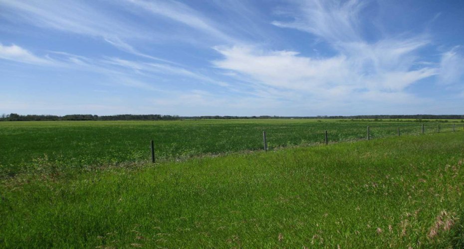 911052 234 Road, Rural Northern Lights, County of, Alberta T0H 2M0, ,Agri-business,For Sale,234,A2329176
