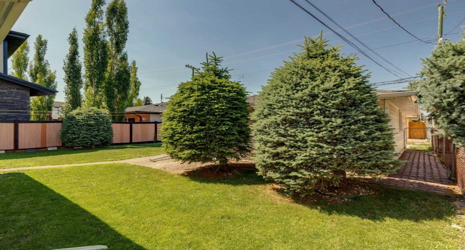 Sunny West Facing Backyard