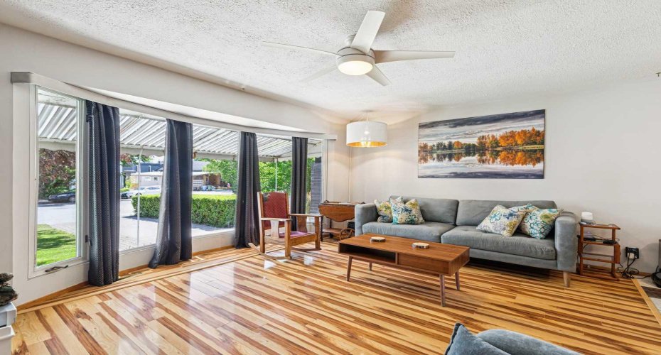 Sun Drenched Living Room