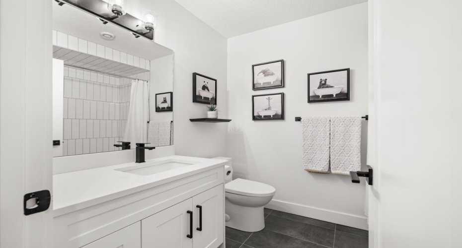 Lower level 4 pc bathroom