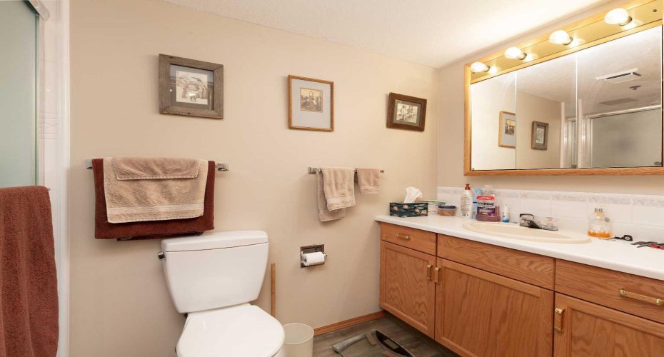 Ensuite in Primary
