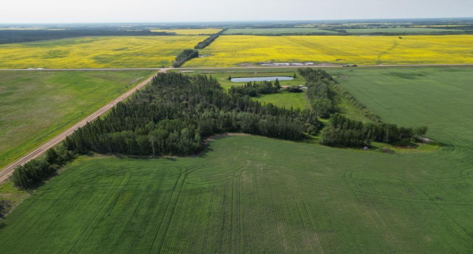 110002 Rge Rd 154, Rural Mackenzie County, Alberta T0H1Z0, ,Land,For Sale,Rge Rd 154,A2329349
