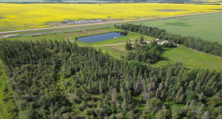 110002 Rge Rd 154, Rural Mackenzie County, Alberta T0H1Z0, ,Land,For Sale,Rge Rd 154,A2329349