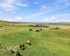 386124 64 Street, Rural Foothills County, Alberta T1S 6C8, 3 Bedrooms Bedrooms, ,4 BathroomsBathrooms,Residential,For Sale,64,A2329408