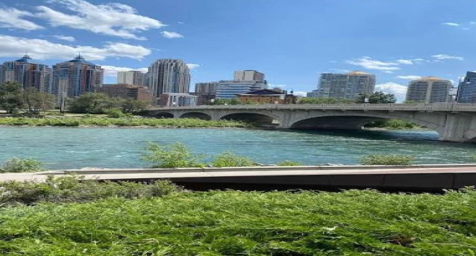 5 minute walk to the bow river