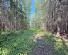 224060 Township Road 680, Rural Athabasca County, Alberta T9S 2A2, 2 Bedrooms Bedrooms, ,1 BathroomBathrooms,Residential,For Sale,224060 Township Road 680,A2329636