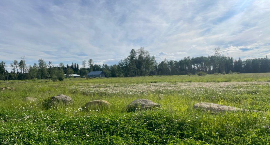 6432 17 Avenue, Edson, Alberta T7E 1S4, 2 Bedrooms Bedrooms, ,1 BathroomBathrooms,Residential,For Sale,17 Avenue,A2124317