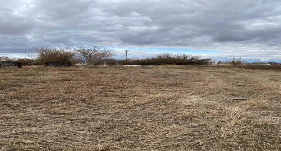 14043 TWP RD 393, Rural Provost No. 52, M.D. of, Alberta T0B1X0, ,Land,For Sale,TWP RD 393,A2041620