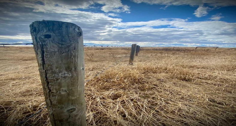 14043 TWP RD 393, Rural Provost No. 52, M.D. of, Alberta T0B1X0, ,Land,For Sale,TWP RD 393,A2041620