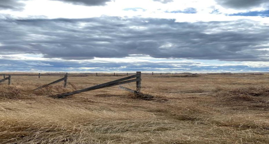 14043 TWP RD 393, Rural Provost No. 52, M.D. of, Alberta T0B1X0, ,Land,For Sale,TWP RD 393,A2041620