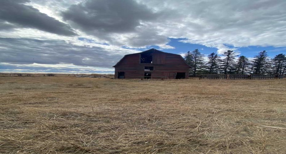 14043 TWP RD 393, Rural Provost No. 52, M.D. of, Alberta T0B1X0, ,Land,For Sale,TWP RD 393,A2041620