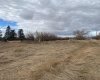 14043 TWP RD 393, Rural Provost No. 52, M.D. of, Alberta T0B1X0, ,Land,For Sale,TWP RD 393,A2041620